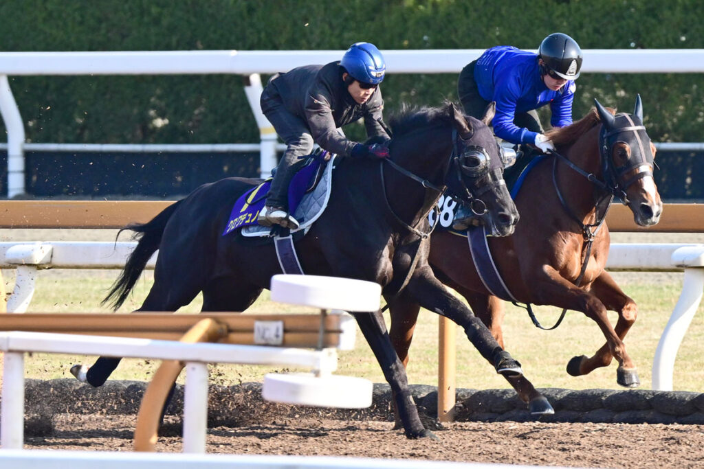【皐月賞追い切り】絶対王者クロワデュノールは北村友一を背にラスト１１・３秒 斉藤崇調教師の手応えは？ - 東スポ競馬